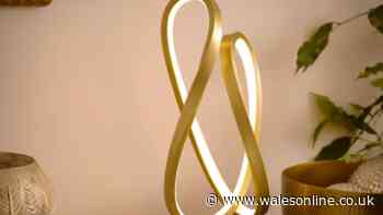 Dunelm's 'beautiful and modern' £30 lamp is now free in double deal