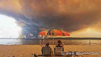 Forty thousand tourists flee France's millionaire peninsula inferno: Tourists describe 'enormous' flames during escape from burning peninsula after being woken in the night with emergency texts