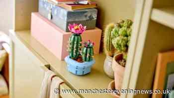Argos shoppers race for £2.84 LEGO Cactus that's a perfect alternative to real plants