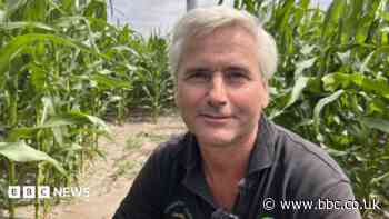 'My farmer grandpa wouldn't get his head around this'