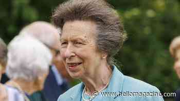 Princess Anne, 75, revives rarely-seen flippy dress from the 70s