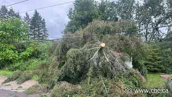 Storm that ripped through Harrington, Que., was a tornado, researchers say