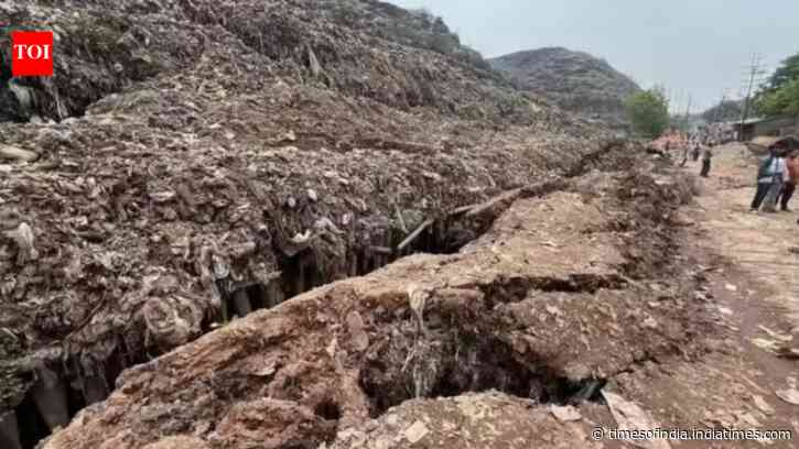 Green activist to PM: Step in to revive NGT eastern bench