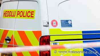 Nine men appear in court accused of child sex offences