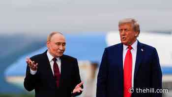 Trump says Russia, China not 'participating' in Iran war 'in my opinion'