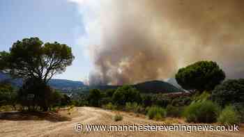 National emergency declared in Spain as tens of thousands flee wildfires near Madrid