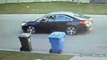1 charged, more suspects at large in Fort St. John drive-by shooting