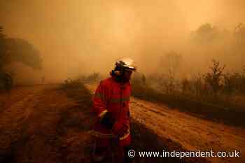 Raining ash and a tower of black smoke: Families flee ‘apocalyptic’ wildfires on the road out of Lège-Cap Ferret
