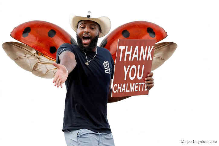 Ladybug Robinson