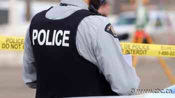 Crime rate climbs in N.B.'s major cities as decline reported nationally