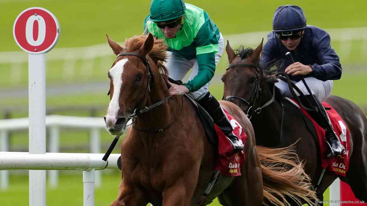 Horse Power: Benvenuto Cellini to win the King George at Ascot