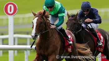 Horse Power: Benvenuto Cellini to win the King George at Ascot