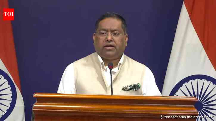 Grain, not guns: MEA rejects Russia's claim on deadly ship attack that killed 4 Indians