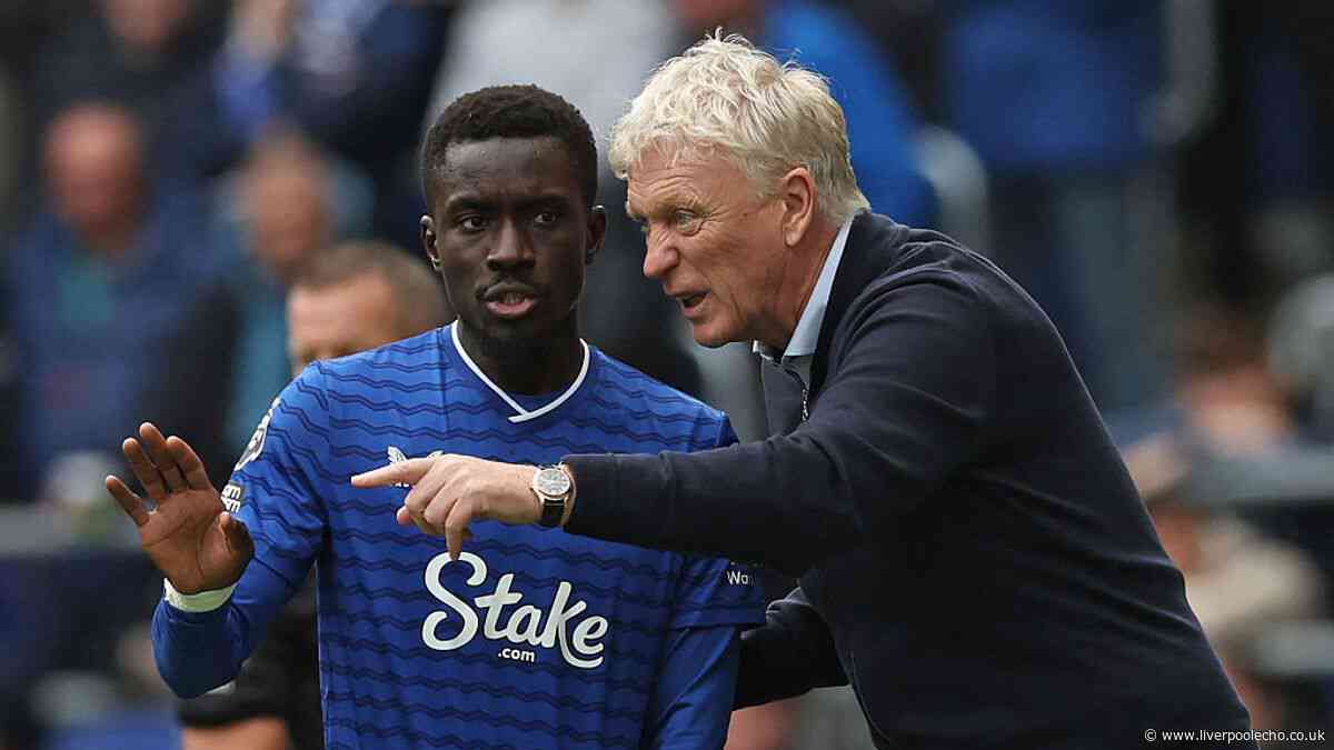 Everton announce departure of Idrissa Gueye as David Moyes pays tribute