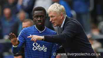 Everton announce departure of Idrissa Gueye as David Moyes pays tribute