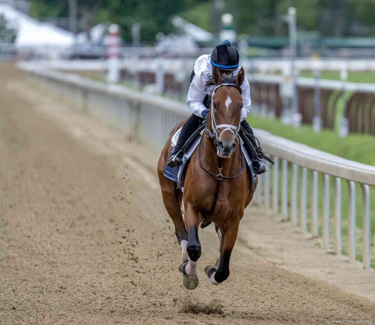 2025 Preakness winner, Derby and Belmont runner-up Journalism retires