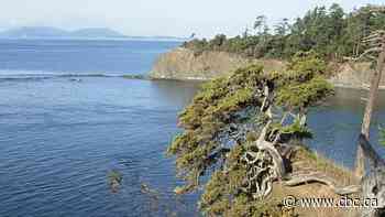 Bystanders help rescue passengers from seaplane crash near B.C.-Wash. border