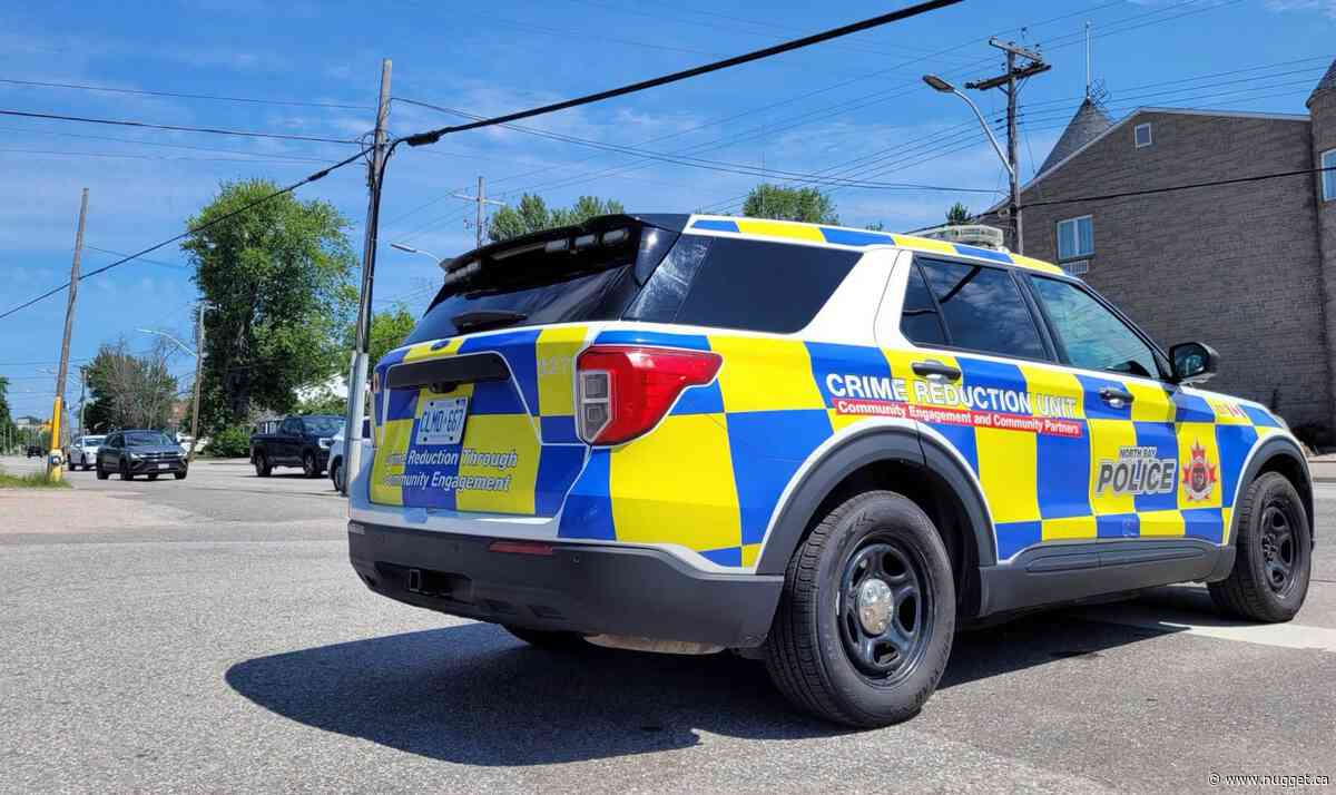 Operation Safe Space targets drug use and crime in North Bay's downtown