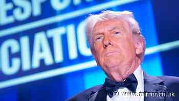 Donald Trump berates them and calls them 'Piggy', yet the press are still buying him dinner