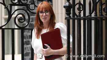Angela Rayner 'earned more than £180,000 during year off from Government' before being recalled by new PM Andy Burnham