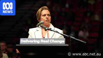 Rowland voices caution as Labor backs VAD telehealth