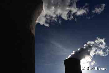 Trump touts US nuclear reactors hitting new milestone
