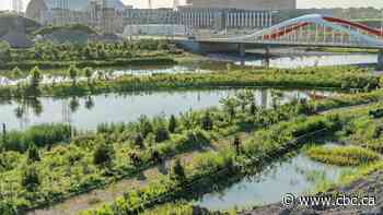 Toronto's newest park is getting an expansion the size of 4 Canadian football fields