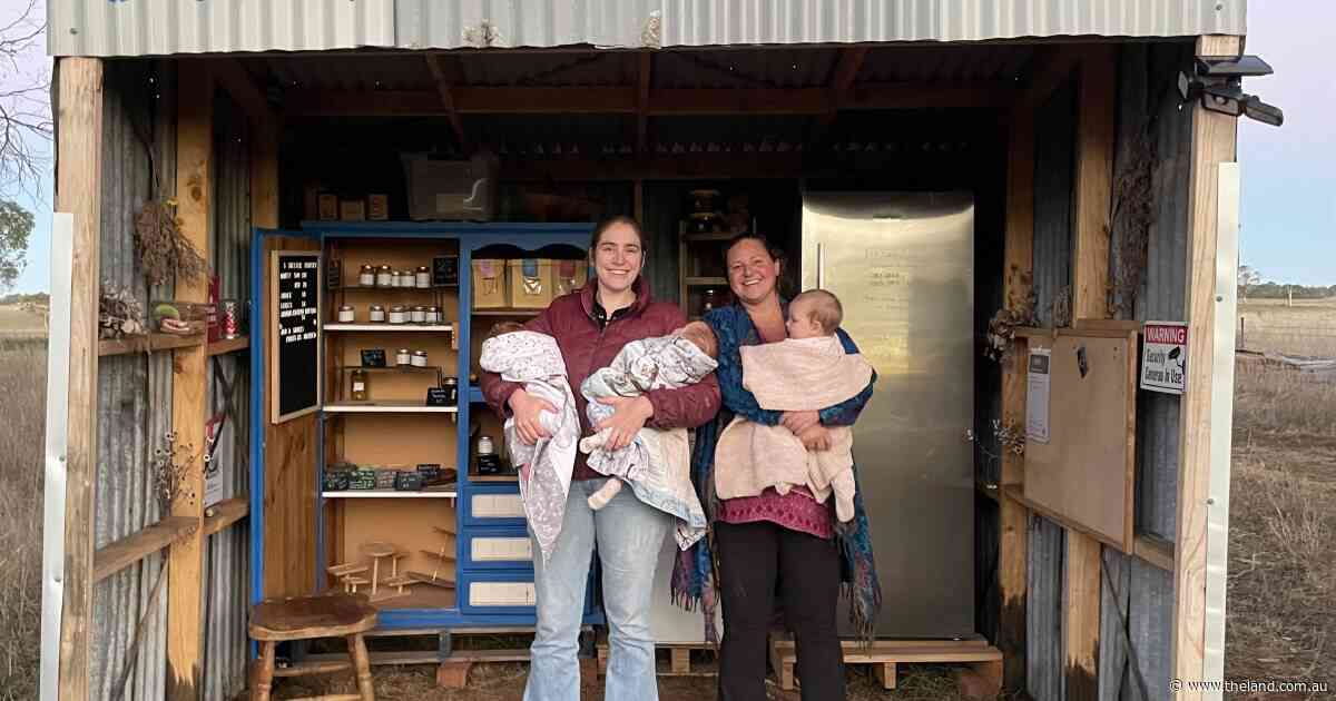 Sweet success: the roadside pantry that has become a local destination