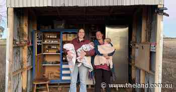 Sweet success: the roadside pantry that has become a local destination