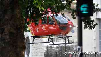 Westminster Bridge live: Four police officers seriously injured in Thames boat crash