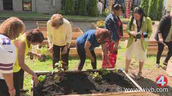Local nonprofit creates community garden to address isolation in seniors