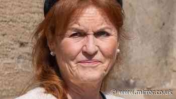 Sarah Ferguson's charity shuts down after scrutiny of links to paedophile Jeffrey Epstein