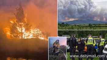 'The scenes are apocalyptic!' Hundreds told to leave homes as wildfire rages in the Highlands