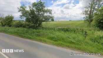 Plan for 130 homes backed despite objections