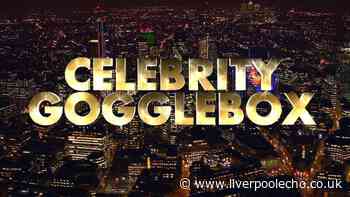 Celebrity Gogglebox viewers issue same complaint minutes in