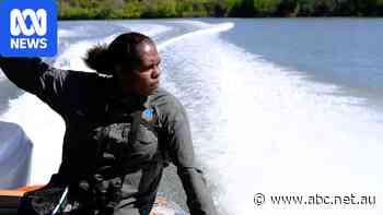 Fishers flag tourism potential for '12 species in a day' marine park