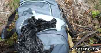 U.S. man gets 15 years for attempting to smuggle drugs into Canada