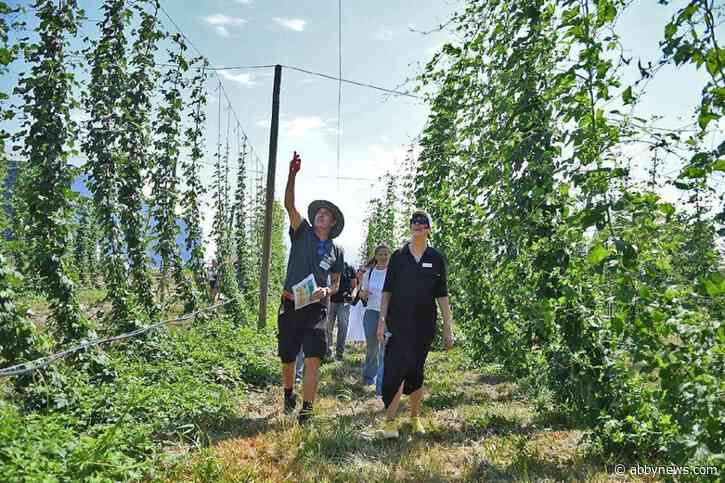 University, brewery come together to unveil hop research yard in Chilliwack