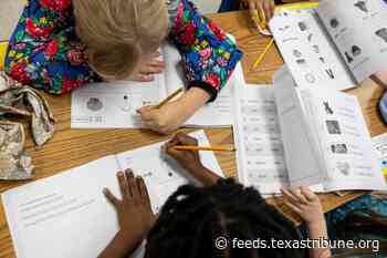National teacher certification board told to scrub DEI mentions to comply with Texas law