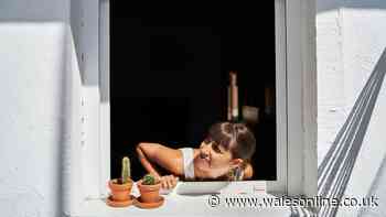 What to do if your neighbours are making too much noise