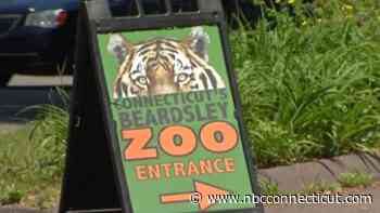 Beardsley Zoo employee uninjured after lightning strike in the area