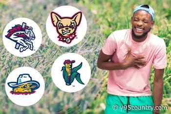 40 Minor League Baseball Teams That Sound Too Funny To Be Real