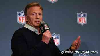 NFL sends fans into frenzy as Super Bowl 2028 date is revealed... after speculation season could expand to blockbuster schedule