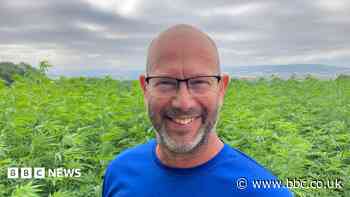 'Our hemp crop raised eyebrows, but it is legal'