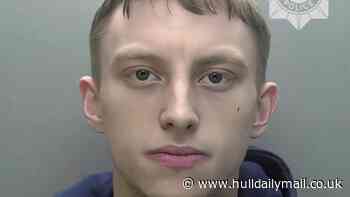 Burglar who repaid woman's kindness by stealing her phone is jailed