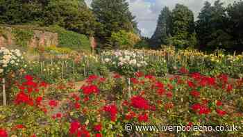 Walled garden with woodland and secrets may be Liverpool's most beautiful park