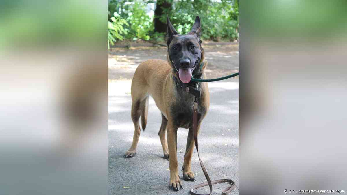 Mila aus Braunschweig ist unsicher – und braucht jetzt starke Menschen