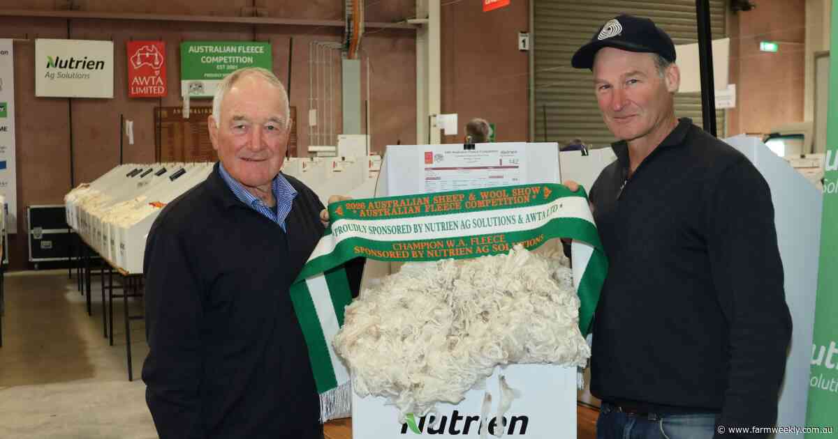 17.3 micron fleece is a WA winner at annual Australian Sheep & Wool Show