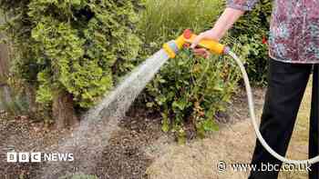 Thames Water issues hosepipe ban for 10m customers