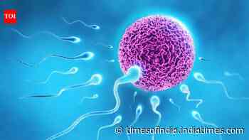 How IVF changed millions of lives: The story behind World IVF Day